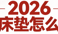 2026最新權威匯總TOP10棕墊床墊推薦排行榜