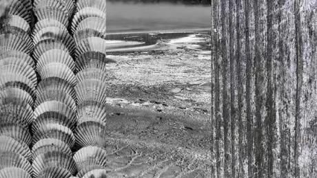 微信圖片_20230203173134