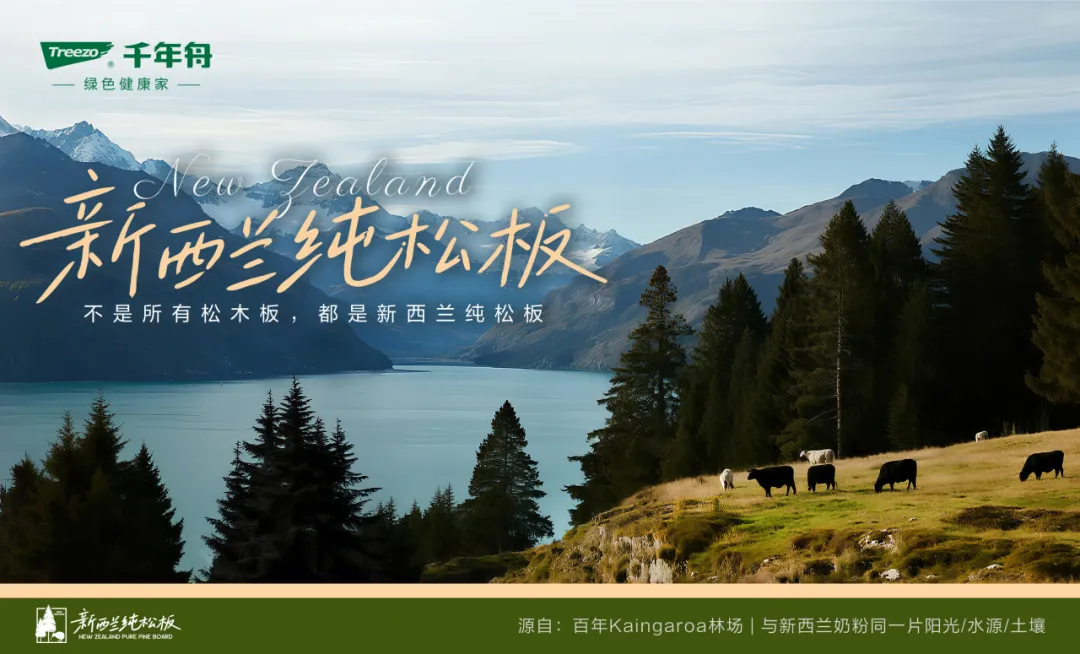 從新西蘭林海到家居日常，用硬實力撐起生活的松弛感