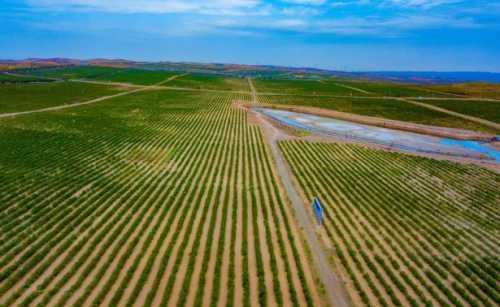 杞出：將大自然一切美好完整呈現給您