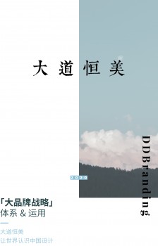 大道恒美品牌管理的「大品牌戰(zhàn)略」體系及運(yùn)用