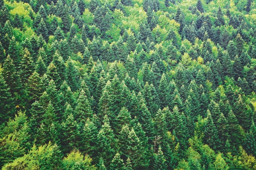 澳思柏恩：引進德國工業(yè)4.0智造設(shè)備，鑄造環(huán)保板材