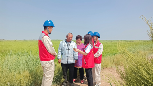 電力支援為村書記莎仁高娃的致富路端上&ldquo;鐵飯碗&rdquo;