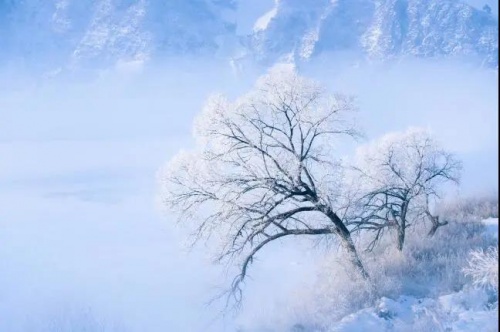 千年舟澳松板，讓家居環(huán)境舒適又安心的「網(wǎng)紅」單品