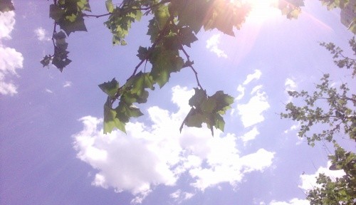 夏天睡不著？東寶床墊打造高質量睡眠