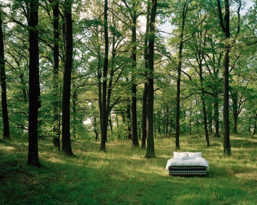 海絲騰百年綠色傳承 織就地球生態底色