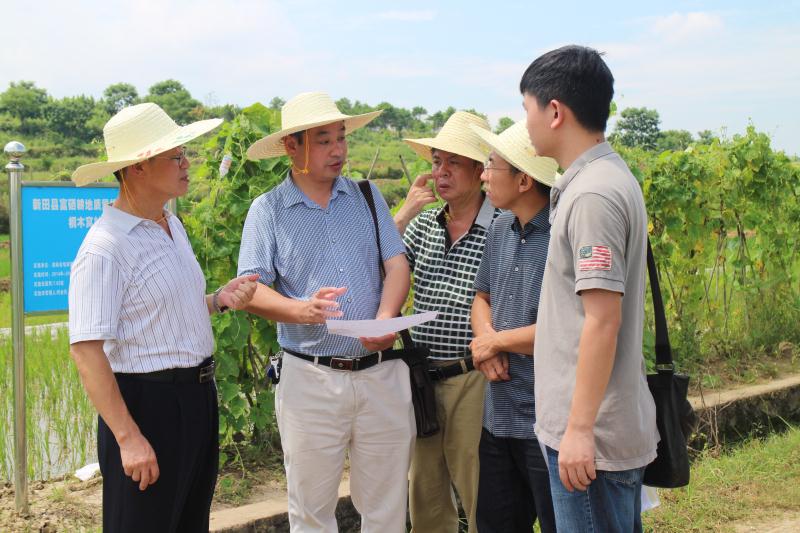 擇一事終一生的&ldquo;三高&rdquo;專(zhuān)家&mdash;&mdash;記湖南省先進(jìn)工作者駱檢蘭