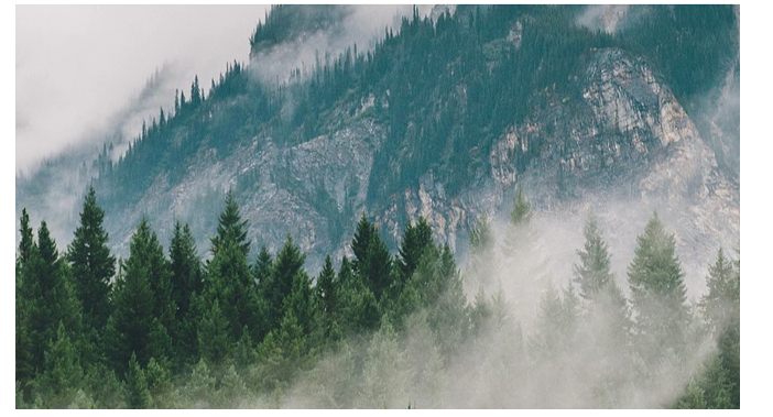 科技賦能丨綠色供應+精工智造，澳思柏恩打造行業智慧工廠標桿！