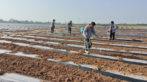 河南澠池：&ldquo;小&rdquo;農機顯&ldquo;大&rdquo;身手