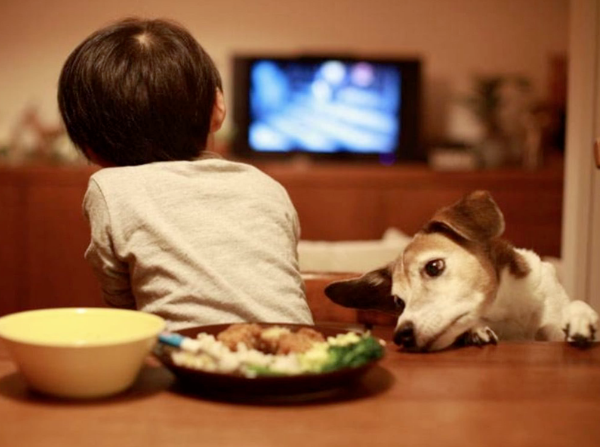 避坑帖：把驢騙進(jìn)來再殺，細(xì)說激光電視那些致命缺點(diǎn)
