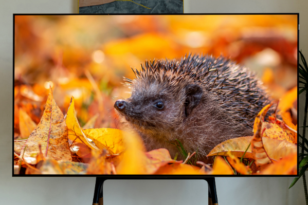 TCL C11G Pro換代首選？Mini LED真香神機(jī)，你值得擁有