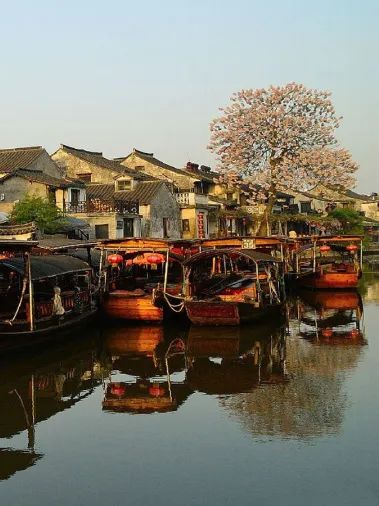 浪卷云收&middot;千舟競(jìng)渡丨千年舟IP新花色全面上市！