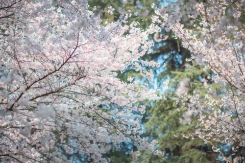 美涂士：墻面發霉怎么辦？真凈味幫你一招搞定！