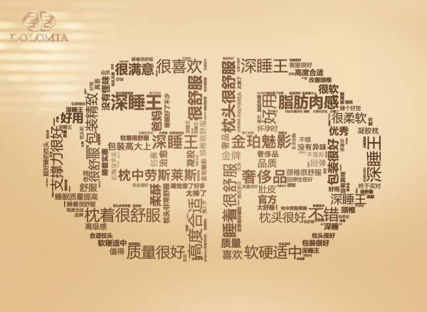 高階深睡枕的代表DOLOMIA，貫穿精密技藝與手工創意，成為高收入群體心儀之選