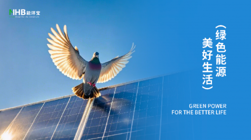 儲能新時代：寧夏能環(huán)寶儲能系統(tǒng)集成與設備再利用引領(lǐng)綠色革命