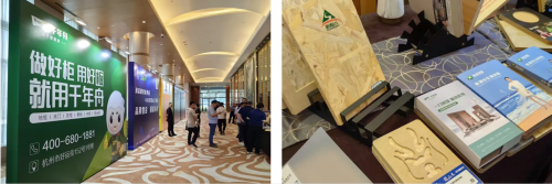 喜報(bào)！千年舟榮獲金匠榜「抗菌板十大品牌、匠心板材十大品牌」雙料大獎(jiǎng)