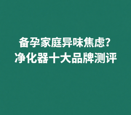 備孕家庭異味焦慮？除甲醛除煙味凈化器十大品牌測(cè)評(píng)