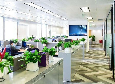 杉和集團(tuán)分享你如何從零開始注冊(cè)香港公司